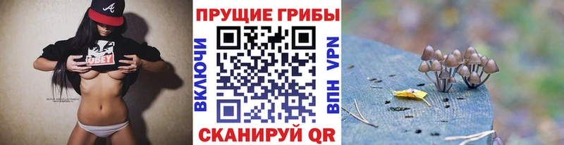 Галлюциногенные грибы ЛСД  Купить где  Зеленокумск 